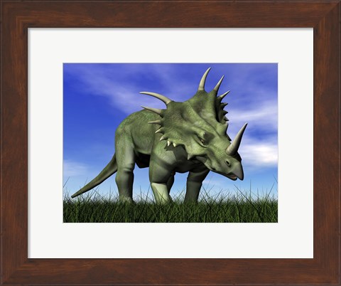 Framed Styracosaurus dinosaur walking in the grass Print