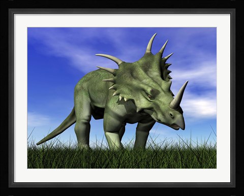 Framed Styracosaurus dinosaur walking in the grass Print