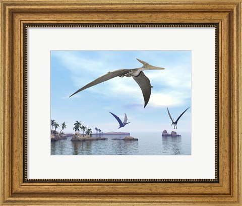 Framed Three pteranodons flying over landscape with hills, palm trees and water Print