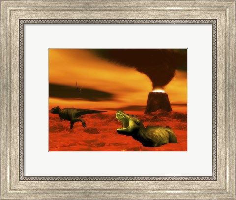 Framed Tyrannosaurus Rex dinosaurs struggle to survive from a volcanic eruption Print
