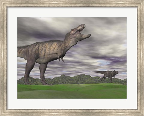 Framed Tyrannosaurus Rex growling as a fellow T-Rex runs away Print