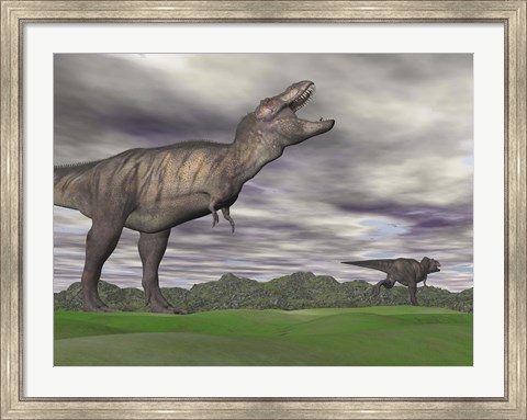Framed Tyrannosaurus Rex growling as a fellow T-Rex runs away Print