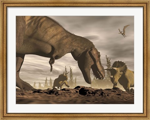 Framed Tyrannosaurus Rex roaring at two Triceratops on rocky terrain Print