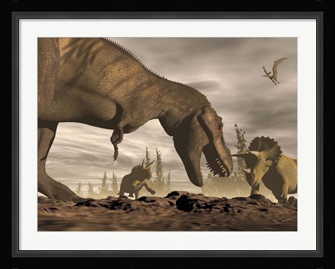 Framed Tyrannosaurus Rex roaring at two Triceratops on rocky terrain Print