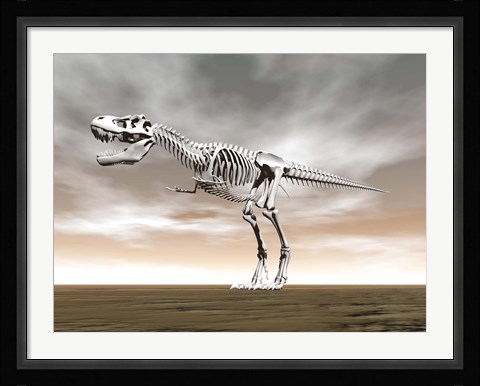 Framed Tyrannosaurus rex skeleton Print