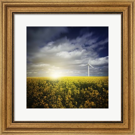 Framed Wind turbine in a canola field against cloudy sky at sunset, Denmark Print
