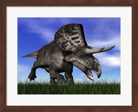 Framed Zuniceratops dinosaur running in the grass Print