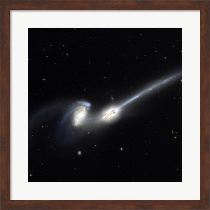 Framed Mice Galaxies Print