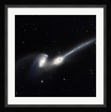 Framed Mice Galaxies Print