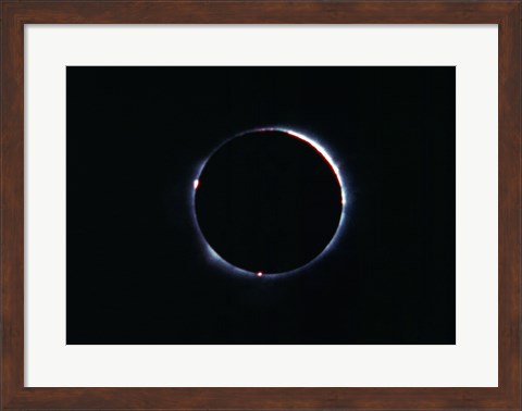 Framed Total Solar Eclipse on November 21, 1960 Print