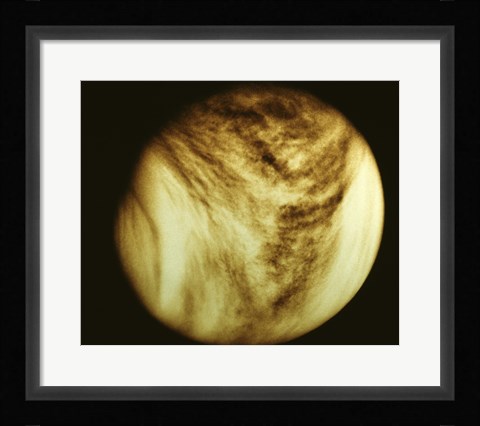 Framed Venus - tan Print