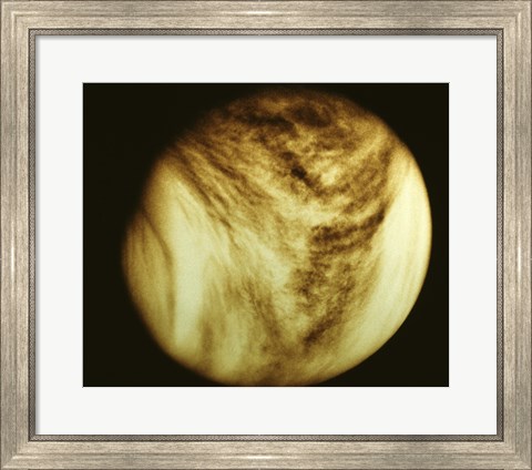Framed Venus - tan Print