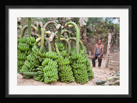 Framed India, Meghalaya, Bajengdoba, Bananas and the man who picked them Print