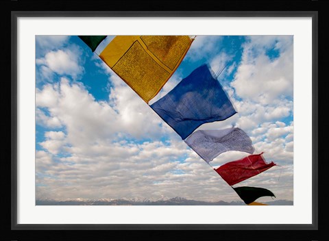 Framed Prayer flags, Leh, Ladakh, India Print