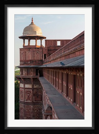 Framed Two pigeons sit on the roof's ledge, Agra fort, India Print