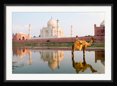 Framed Young Boy on Camel, Taj Mahal Temple Burial Site at Sunset, Agra, India Print