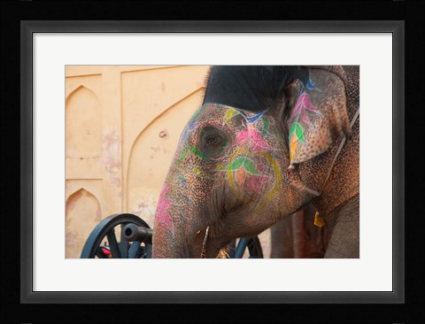 Framed Decorated elephant at the Amber Fort, Jaipur, Rajasthan, India. Print