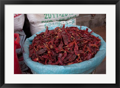 Framed Dried chilies, Jojawar, Rajasthan, India. Print