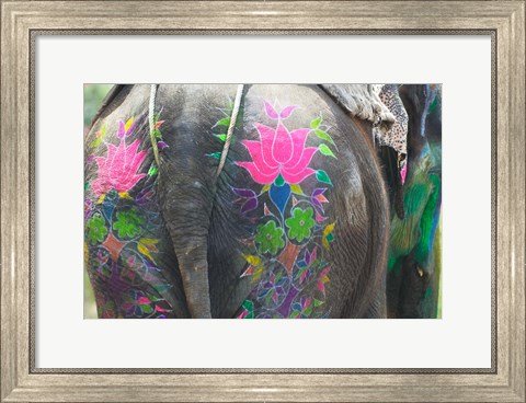 Framed Elephant Decorated with Colorful Painting at Elephant Festival, Jaipur, Rajasthan, India Print