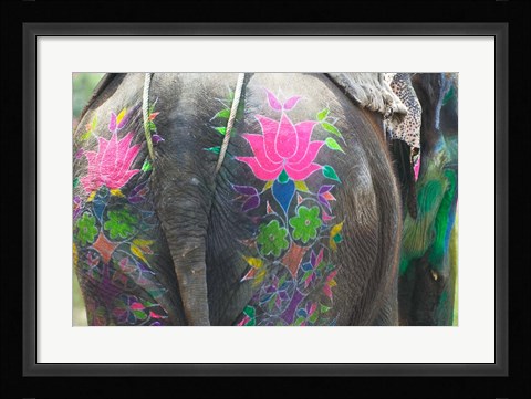 Framed Elephant Decorated with Colorful Painting at Elephant Festival, Jaipur, Rajasthan, India Print