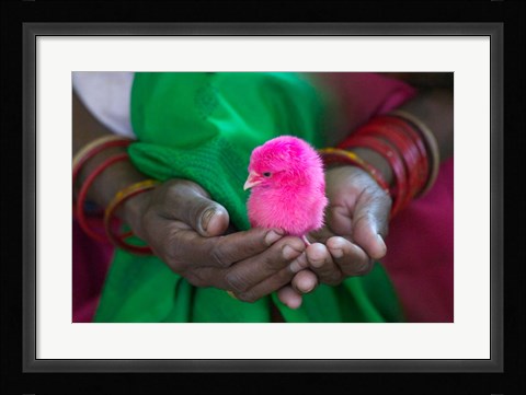 Framed Woman and Chick Painted with Holy Color, Orissa, India Print