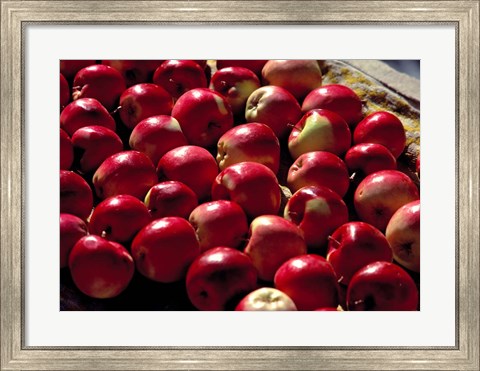 Framed India, Ladakh, Leh. Apples at market in Lamayuru Print