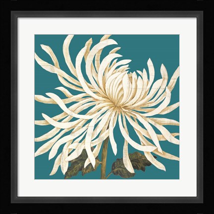 Framed Mix of Mums I Print