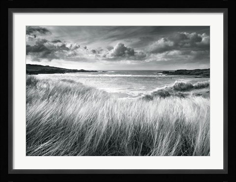 Framed Sea Grass Print