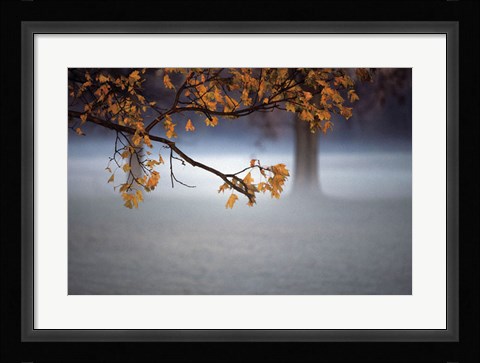 Framed Fog Leaf Print