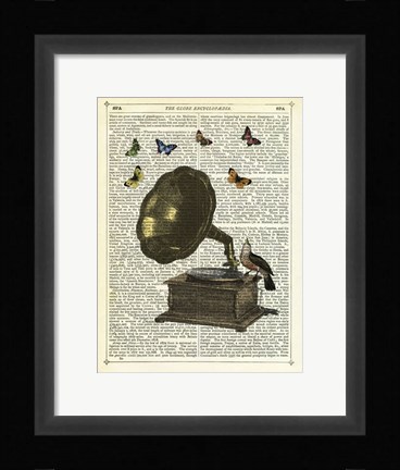 Framed Gramophone, Bird &amp; Butterflies Print