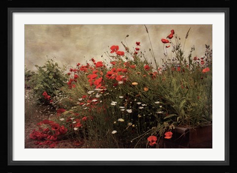 Framed Poppy Garden Print