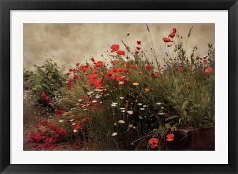 Framed Poppy Garden Print