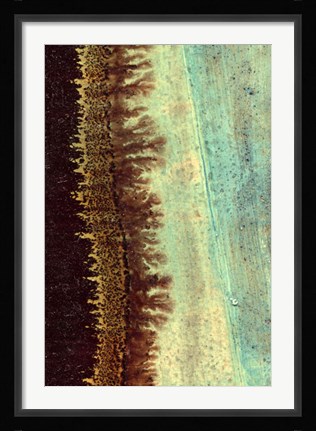 Framed Lichen I Print