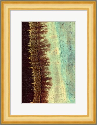 Framed Lichen I Print