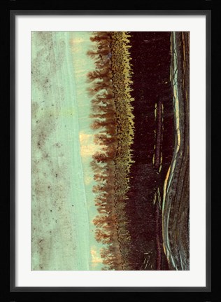 Framed Lichen II Print