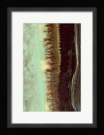 Framed Lichen II Print