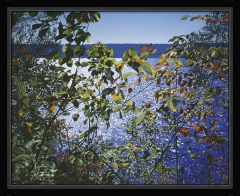 Framed Dark Autumn Leaves Print