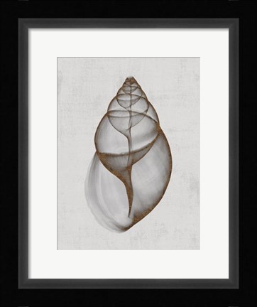 Framed Achatina Shell Print