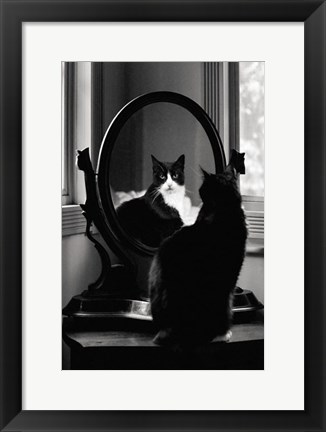 Framed Reflection Print