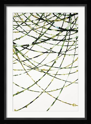 Framed Moss Vine Print