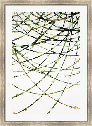 Framed Moss Vine Print