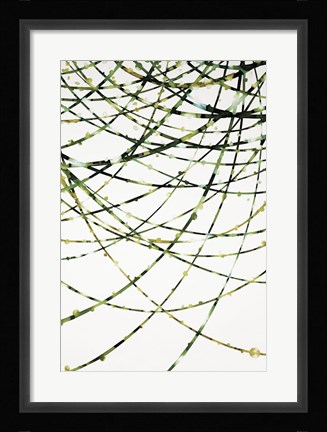 Framed Moss Vine Print