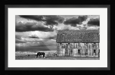Framed Horse and Barn Print
