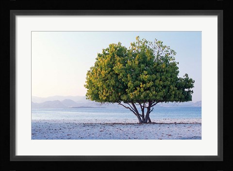 Framed Asia, Indonesia, Lesser Sunda Archipelago, Beach Print