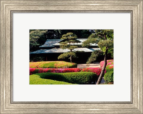 Framed Azaleas at the Imperial Palace East Gardens, Tokyo, Japan Print