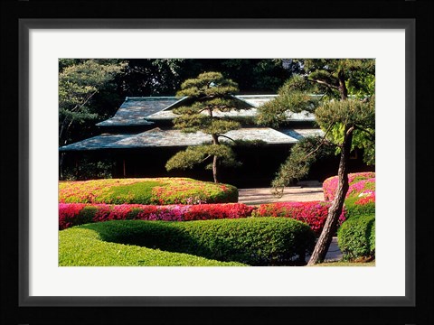 Framed Azaleas at the Imperial Palace East Gardens, Tokyo, Japan Print