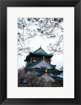 Framed Osaka Castle and Cherry Blossom Trees, Osaka, Japan Print