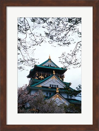 Framed Osaka Castle and Cherry Blossom Trees, Osaka, Japan Print