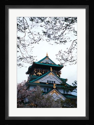 Framed Osaka Castle and Cherry Blossom Trees, Osaka, Japan Print