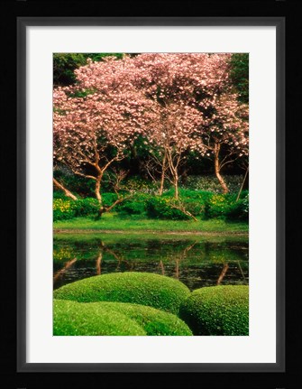 Framed Reflecting Pond, Imperial Palace East Gardens, Tokyo, Japan Print